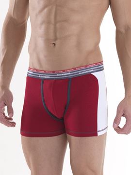 Black Spade Sport Erkek Boxer Don 9543 resmi