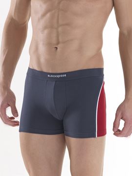 Black Spade Sport Erkek Boxer Don 9545 resmi