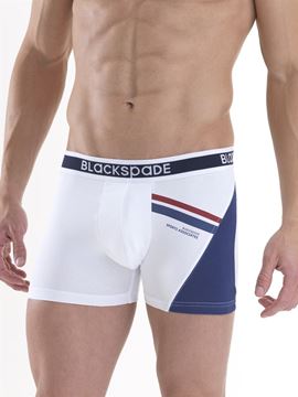 Black Spade Sport Erkek Boxer Don 9546 resmi