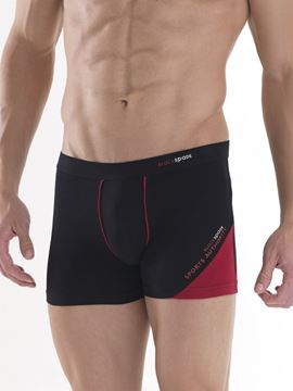 Black Spade Sport Erkek Boxer Don 9541 resmi