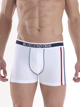 Black Spade Sport Erkek Boxer Don 9547 resmi