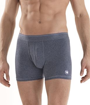 Black Spade Sport Erkek Boxer Don 9560 resmi