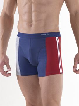 Black Spade Sport Erkek Boxer Don 9435 resmi