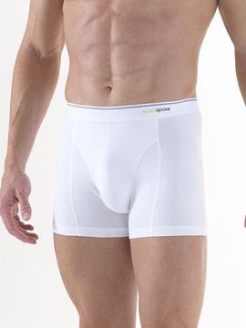 Black Spade Tender Cotton Erkek Boxer Don 9233 resmi