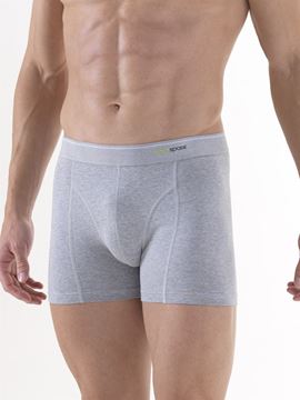 Black Spade Tender Cotton Erkek Boxer Don 9233 resmi