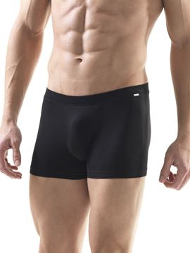 Black Spade Silver Erkek Boxer Don 9310 resmi